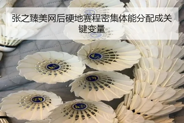 张之臻美网后硬地赛程密集体能分配成关键变量